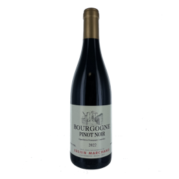 Bourgogne Pinot Noir 2022 Rouge