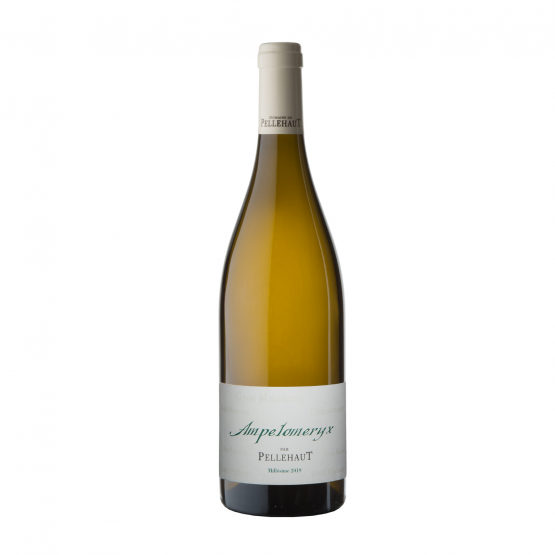 Ampélomeryx Blanc 2022 Famille Laplace Famille Laplace FR Château Aydie N°696, Chemin 317 Famille Laplace Famille Laplace Famille Laplace Château Aydie N°696, Chemin 317 Famille Laplace Famille Laplace Famille Laplace Famille Laplace Famille Laplace Château Aydie N°696, Chemin 317 Famille Laplace Château Aydie N°696, Chemin 317 Château Aydie N°696, Chemin 317