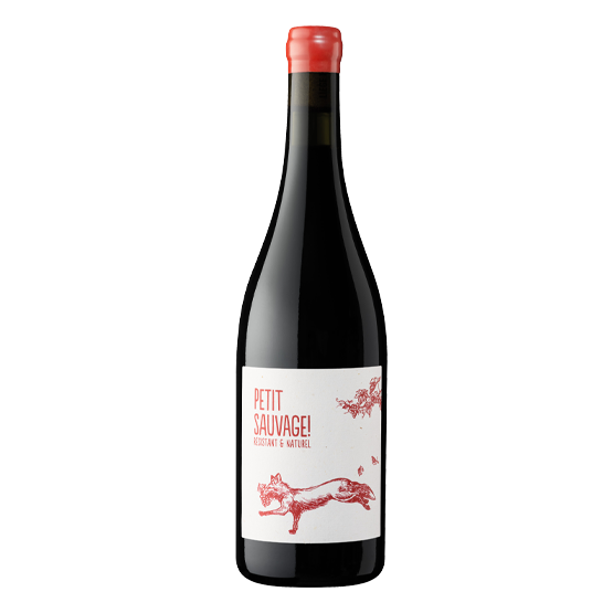 Petit Sauvage 2024 Rouge Famille Laplace Famille Laplace FR Château Aydie N°696, Chemin 317 Famille Laplace Famille Laplace Famille Laplace Château Aydie N°696, Chemin 317 Famille Laplace Famille Laplace Famille Laplace Famille Laplace Famille Laplace Château Aydie N°696, Chemin 317 Famille Laplace Château Aydie N°696, Chemin 317 Château Aydie N°696, Chemin 317