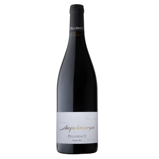 Ampélomeryx Rouge 2024 Famille Laplace Famille Laplace FR Château Aydie N°696, Chemin 317 Famille Laplace Famille Laplace Famille Laplace Château Aydie N°696, Chemin 317 Famille Laplace Famille Laplace Famille Laplace Famille Laplace Famille Laplace Château Aydie N°696, Chemin 317 Famille Laplace Château Aydie N°696, Chemin 317 Château Aydie N°696, Chemin 317