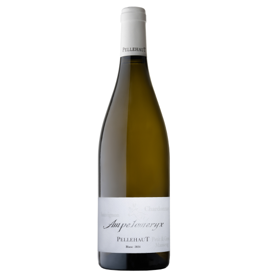 Ampelomeryx 2023 Blanc Famille Laplace Famille Laplace FR Château Aydie N°696, Chemin 317 Famille Laplace Famille Laplace Famille Laplace Château Aydie N°696, Chemin 317 Famille Laplace Famille Laplace Famille Laplace Famille Laplace Famille Laplace Château Aydie N°696, Chemin 317 Famille Laplace Château Aydie N°696, Chemin 317 Château Aydie N°696, Chemin 317